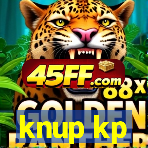 knup kp-t89 driver